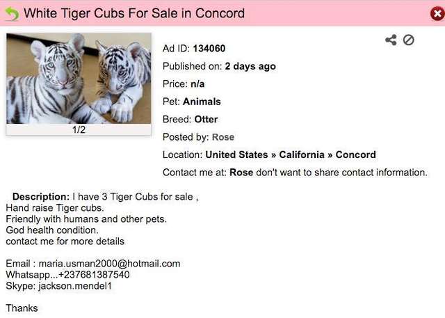 make money breeding exotic animals make money breeding exotic animals